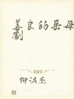 善良的岳母 韩剧