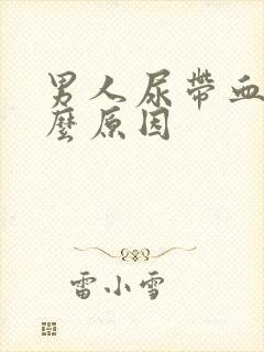 男人尿带血是什么原因