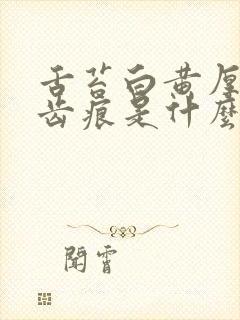 舌苔白黄厚腻有齿痕是什么原因造成的