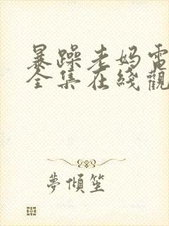 暴躁老妈电视剧全集在线观看