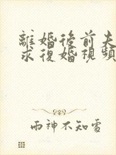 离婚后前夫哭着求复婚视频完整版