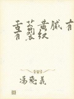 舌苔黄腻有齿痕有裂纹