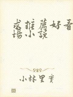 求推荐好看的官场小说