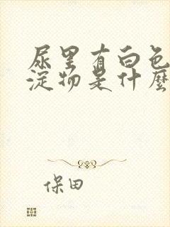 尿里有白色的沉淀物是什么原因封面