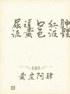 尿道口红肿疼痛流黄色液体