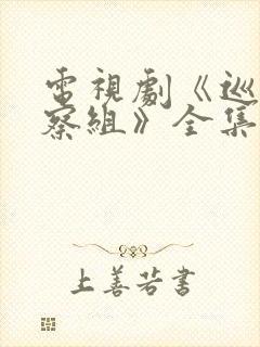 电视剧《巡回检察组》全集