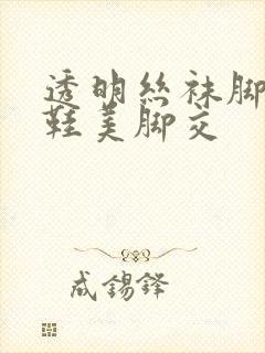 透明丝袜脚高跟鞋美脚交