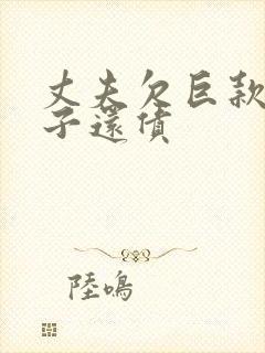 丈夫欠巨款,妻子还债封面