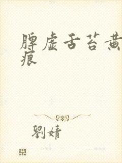 脾虚舌苔黄有齿痕