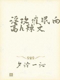 淫攻催眠向np高h辣文