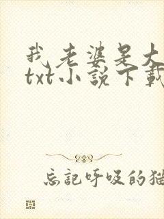 我老婆是大明星txt小说下载