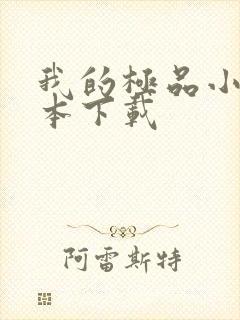 我的极品小姨全本下载