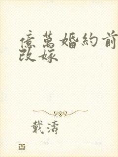 亿万婚约前妻别改嫁