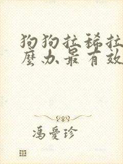 狗狗拉稀拉血怎么办最有效的方法