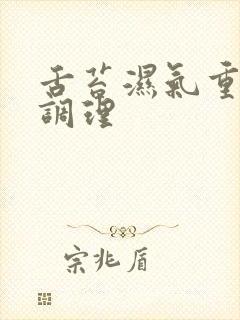 舌苔湿气重怎么调理