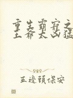 重生霸宠之摄政王爷太凶猛封面