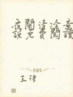夜阑清冷意欢小说免费阅读