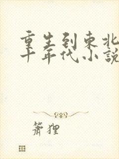 重生到东北的六十年代小说封面