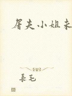 屠夫小姐未删减