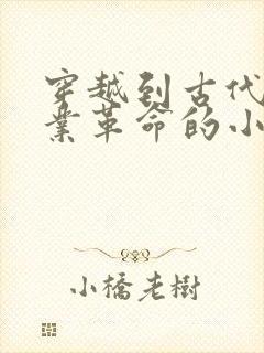 穿越到古代搞工业革命的小说