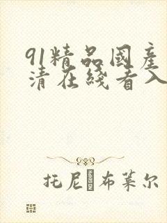 91精品国产高清在线看入口