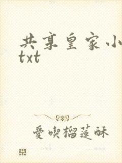 共享皇家小公主txt封面