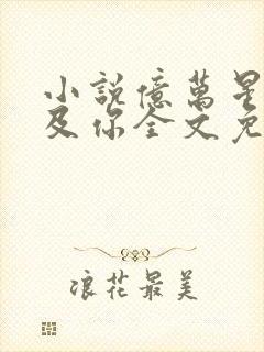 小说亿万星辰不及你全文免费阅读