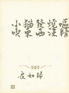 小猫发烧呕吐不吃东西没精神