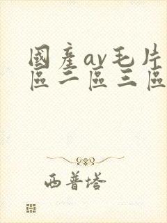 国产av毛片一区二区三区麻豆