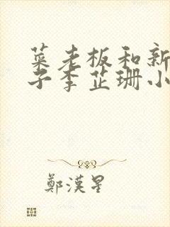 菜老板和新婚妻子李芷珊小说封面