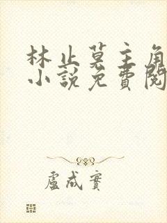 林止莫主角穿越小说免费阅读封面