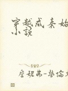 穿越成秦始皇的小说封面