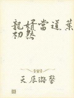 龙婿当道叶辰萧初然