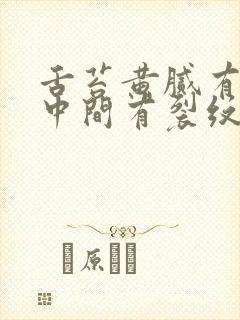 舌苔黄腻有齿痕中间有裂纹