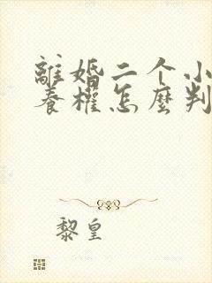 离婚二个小孩抚养权怎么判