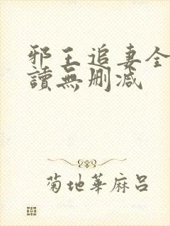 邪王追妻全文阅读无删减封面