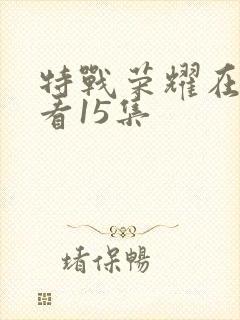 特战荣耀在线观看15集