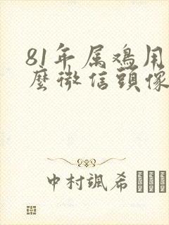 81年属鸡用什么微信头像旺财