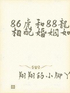 86虎和88龙相配婚姻如何