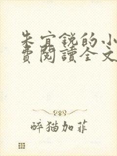 朱宜锐的小说免费阅读全文封面