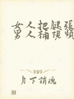 女人把腿张开给男人桶视频