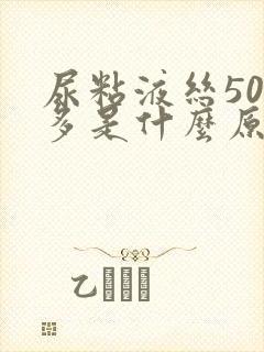 尿粘液丝500多是什么原因