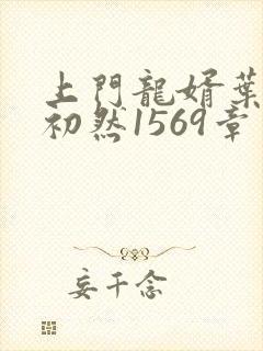 上门龙婿叶辰萧初然1569章了