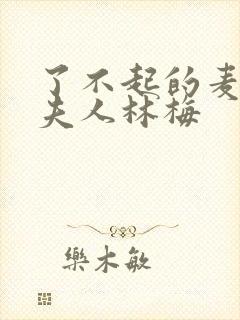 了不起的麦瑟尔夫人林梅封面