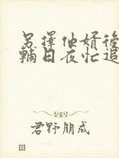 另择他婿后,首辅日夜忙追妻全文在线阅读