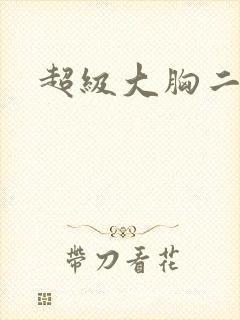 超级大胸二次元