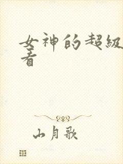 女神的超级赘婿看
