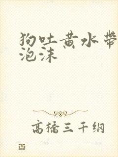 狗吐黄水带白色泡沫