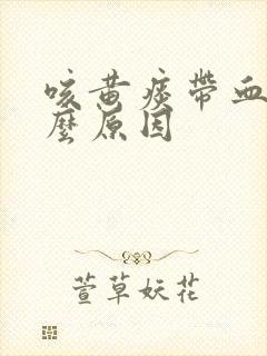 咳黄痰带血是什么原因