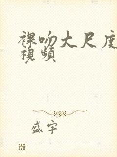 裸吻大尺度床戏视频封面